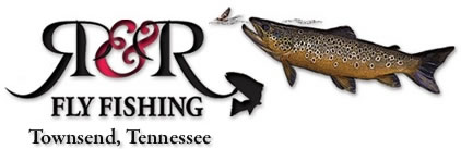 R & R Flyfishing - Fly Fishing the streams in Great Smoky Mountains National Park and the tailwater rivers of East Tennessee and western North Carolina