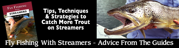 Fly Fishing with Streamers - Advice from the Guides