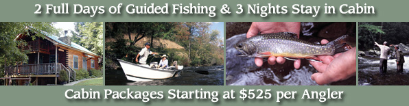 Cabin and Fly Fishing Package in Townsend, Tennesee