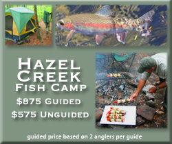 Hazel Creek fly fishing