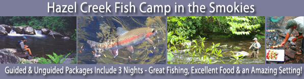 Fly Fishing Camp on Hazel Creek