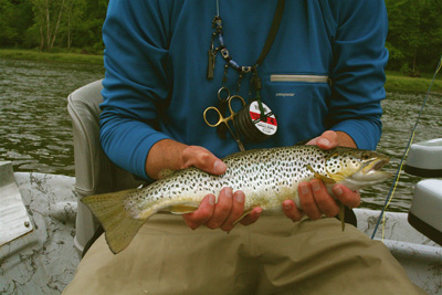 How Stuff Works: Reels - Fightmaster Fly Fishing Fightmaster Fly