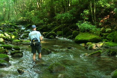 Smoky Mountain Summer Weather