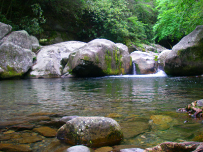 Big Creek Watershed - Fly Fishing Smoky Mountains