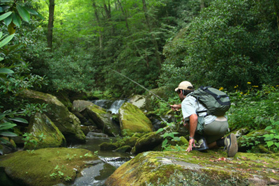 small stream dry fly leaders