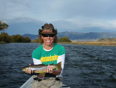 Madison river Brown trout