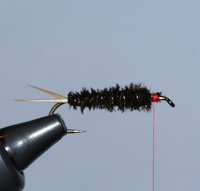 Fly Tying: Learn to Tie the Prince Nymph