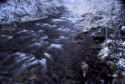 The Pleasure of Winter Trout Fishing - NC Smoky Mountains