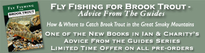 Fly Fishing for Brook Trout in GSMNP - Advice from the Guides