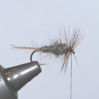 The BEST Flies for Trout