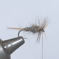 Groundhog Caddis - Fly Tying Appalachian/Great Smoky Mountain Trout Flies 