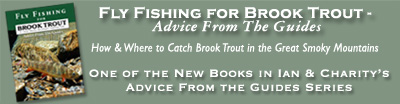 Fly Fishing for Brook Trout in Great Smoky Mountains National Park