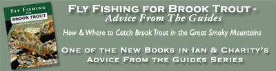 Fly Fishing for Brook Trout 