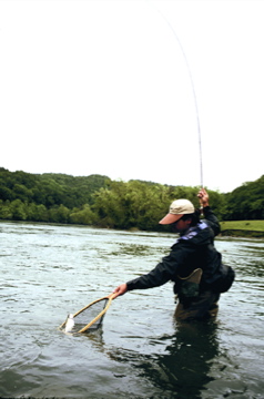 The recreational schedule on the Clinch will allow fishing at Miller's Island until about 11 AM and the Highway 61 bridge at Clinton until about 3:00