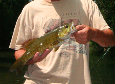 Oh yeah, the smallmouth were fun too!