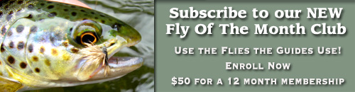 Fly of the Month Subscribe