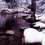 Fly fishing in the snow