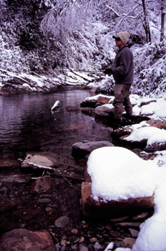 Fly fishing in the snow