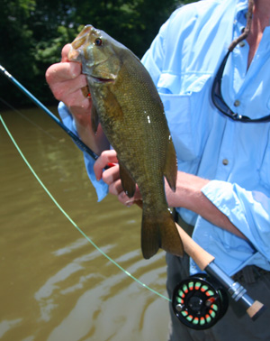 This Pigeon River smallmouth bass crushed a popper