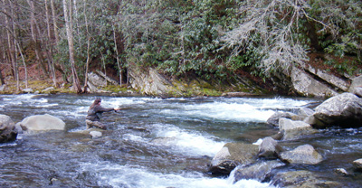 Charity fishes a pair of nymphs in a pocket of calm water on Little River