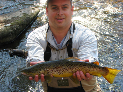 Andy Sonner's Brown Trout