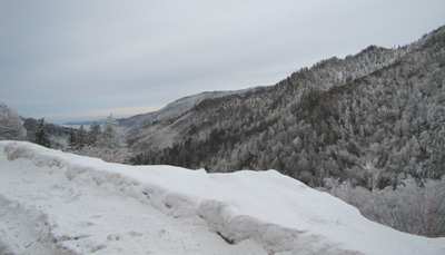 Snow on Newfound Gap Road