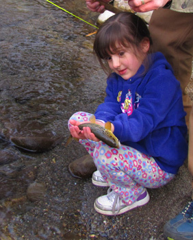 Little River Brown Trout