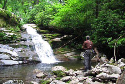 Smoky Mountain Brook Trout Stream