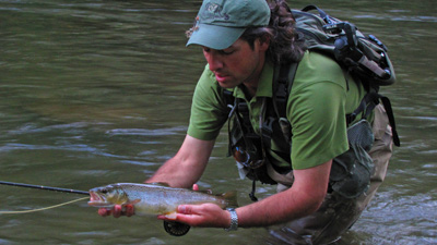 Hazel Creek Brown Trout