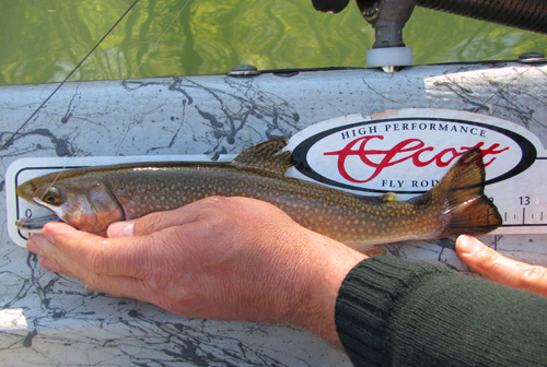 Clinch River was a Tough Nut