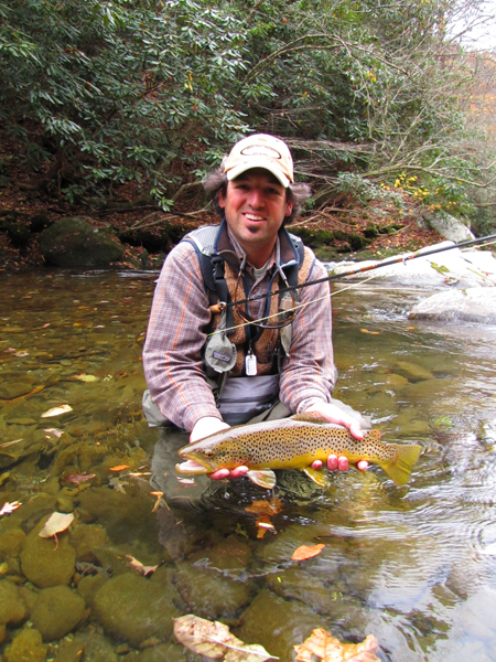 giant brown trout