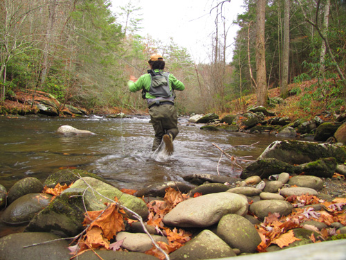 Big Brown Trout in the Smokies: You Win Some, You Lose More