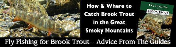 Fly Fishing for Brook Trout in Great Smoky Mountains National Park