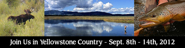 Join us on the Henry's Fork & Yellowstone Country