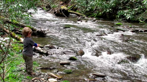 A Few Days of Camping and Fly Fishing in Cataloochee Valley