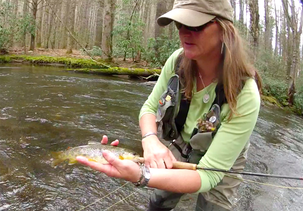 A Few Days of Camping and Fly Fishing in Cataloochee Valley