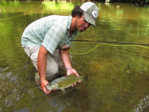 Large smallmouth bass from a stream