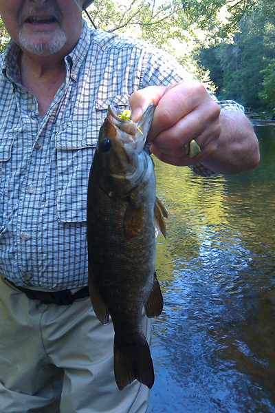 Smallmouth Bite Continues in the Streams