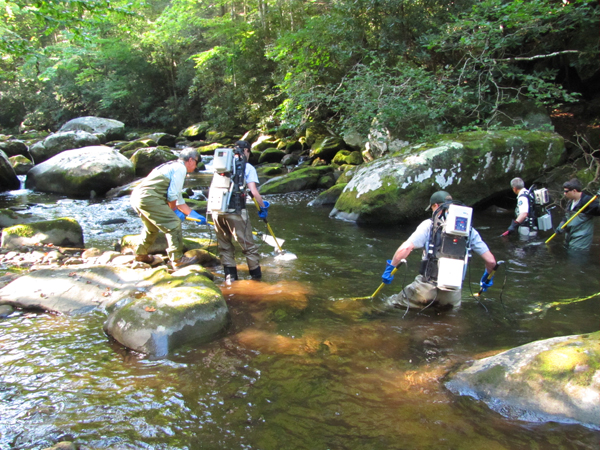 Deep Creek Watershed - Fly Fishing Smoky Mountains