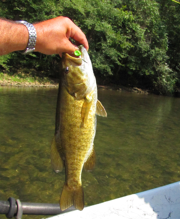 A Week of Warm Water Fly Fishing