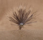 Haystack,Front
