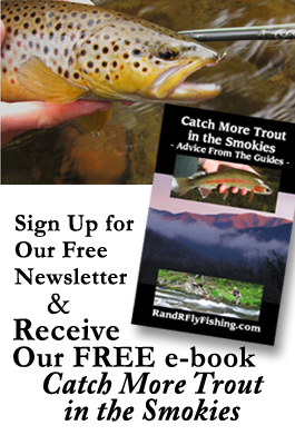 Free ebook Tall Button