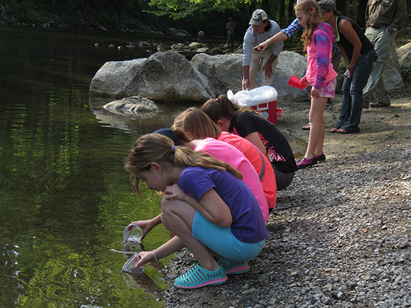 Each child had a cup with 3-5 small trout to release into the Little River in Townsend