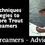 Fly Fishing with Streamers - Advice from the Guides