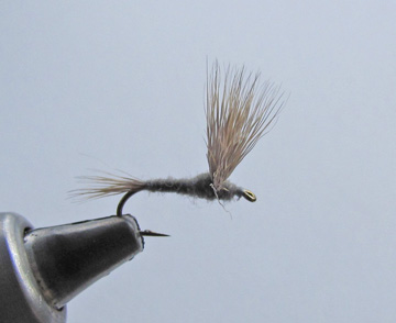 The Haystack: One of our Favorite Smoky Mountain Trout Flies | R and R ...