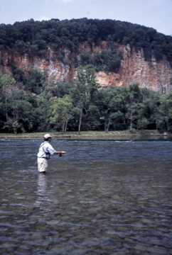 Fly Fishing in Tennessee: The Holston River below Cherokee Dam