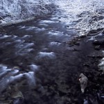 A fly fisher on a snowy stream in the Great Smoky Mountains