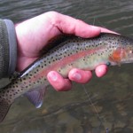 Late Fall rainbow from the Smokies