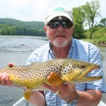 Holston River brown trout