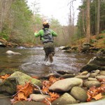 Chasing a brown trout